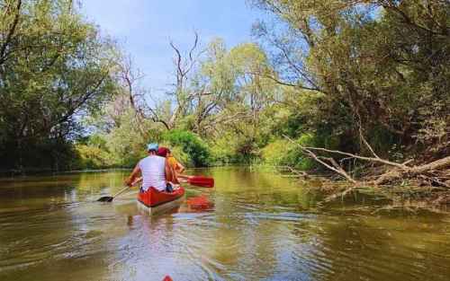 vízitúra kenutúra kenu túr tisza szamos Öreg-Túr Túristvándi